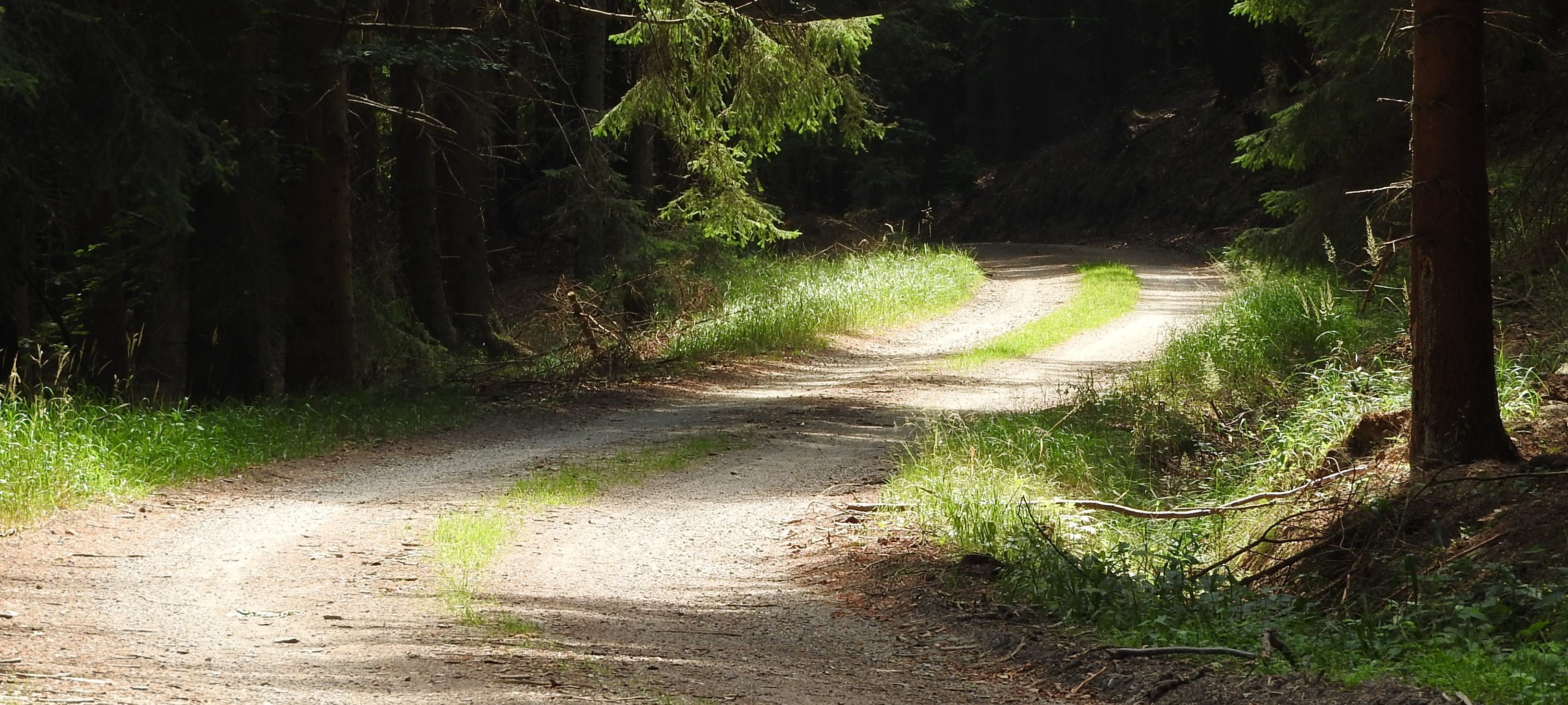 L'Alpe di Monghidoro, Provincia di Bologna, Itinerari, ciclabili, offroad, accessibili, disabili, MTB, handbike, mountain tandem