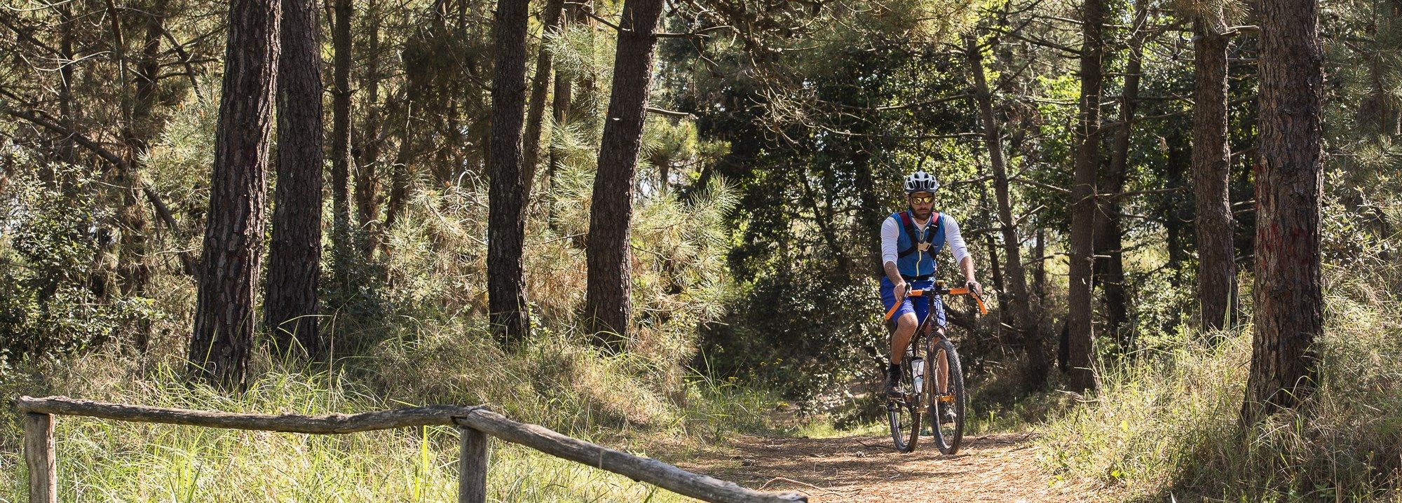Pineta di San Vitale e Pialassa della Baiona, Provincia di Ravenna, Itinerari, ciclabili, offroad, accessibili, disabili, MTB, handbike, mountain tandem