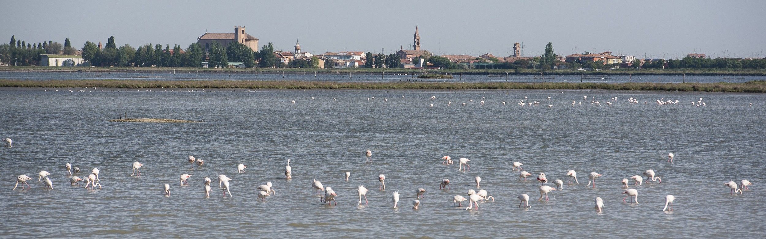 Valli di Comacchio, Provincia di Ferrara, Itinerari, ciclabili, offroad, accessibili, disabili, MTB, handbike, mountain tandem